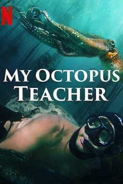 My Octopus Teacher | Netflix (2020) บทเรียนจากปลาหมึก